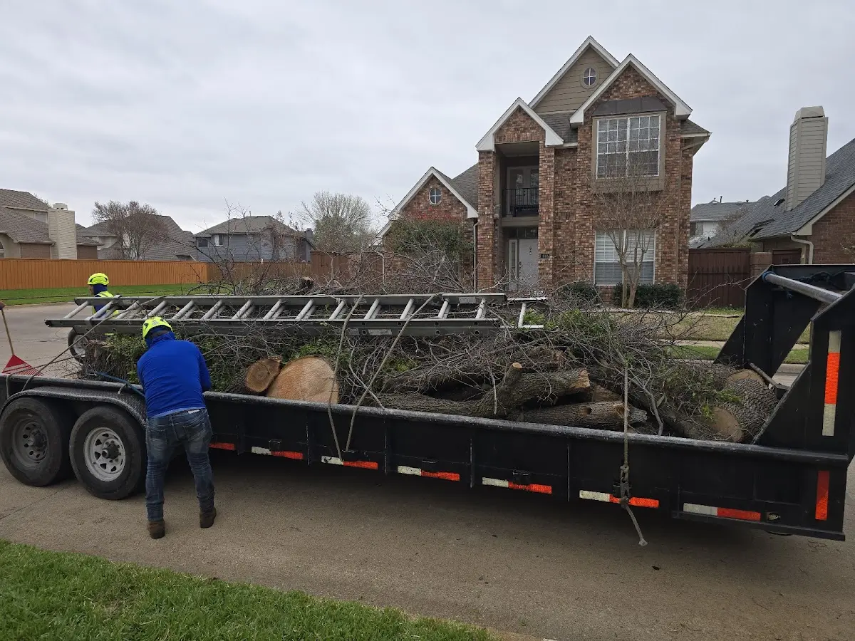 Expert Tree Removal with proper safety equipment in Scottsboro